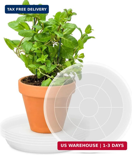 Pacetap inch pack plant - pack,