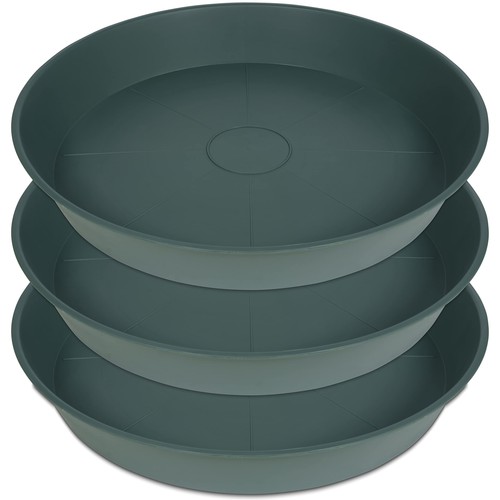 Large 26inch plant saucer set - plant,
