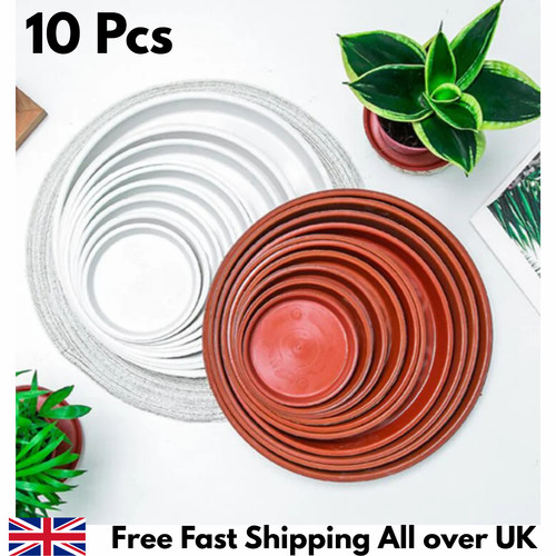 10x plant pot saucer - plant,