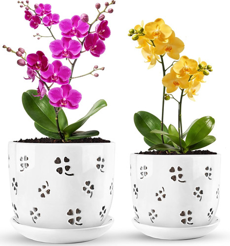 Orchid pot inch and - inch,