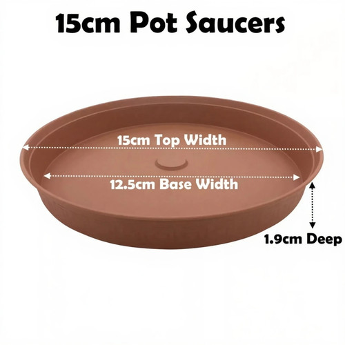 15cm plant pot saucer - plant,