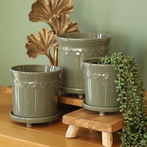 Ceramic sage green plant - plant, pot