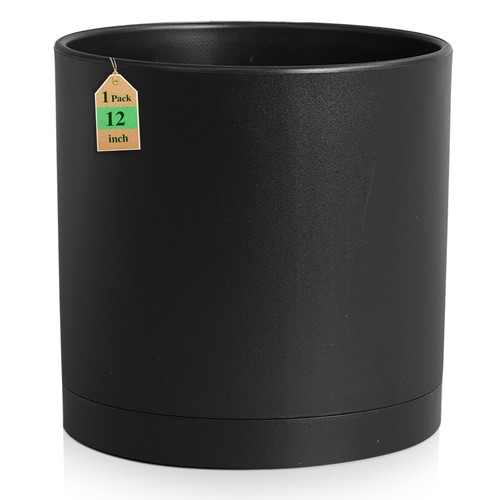 Large inch deep plant - plant, pots