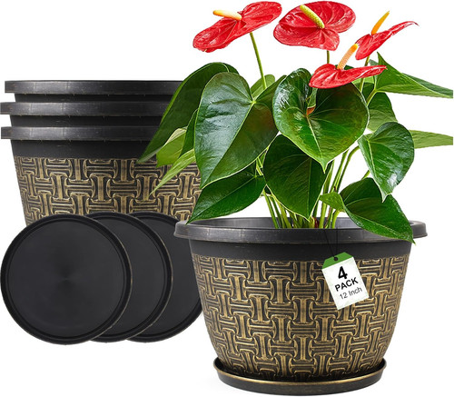 Pack inch plant pots - pack,