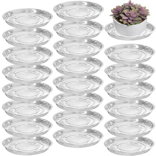 Extralarge clear plant - 18",