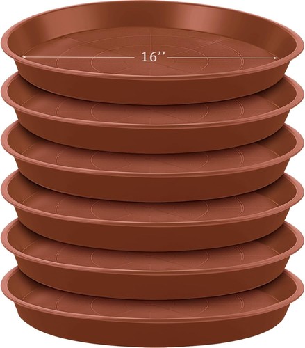 Inch plant saucer 6 pack - inch,