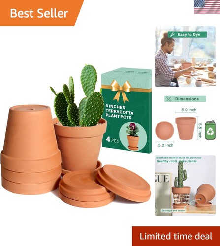 Breathable inch clay plant - 6-inch,