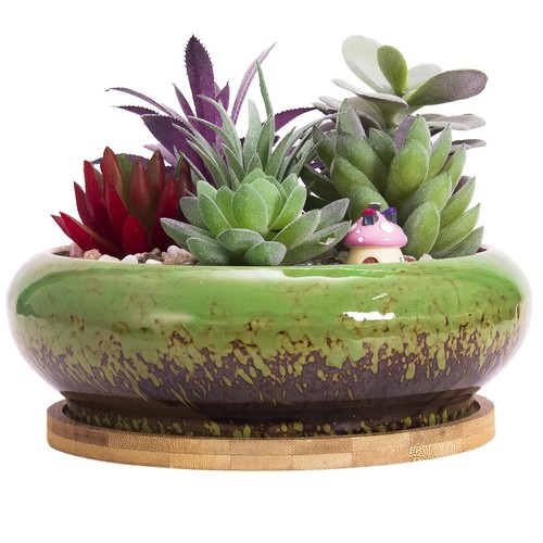 Large ceramic succulent - large,
