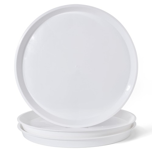 White plant saucers - plant,