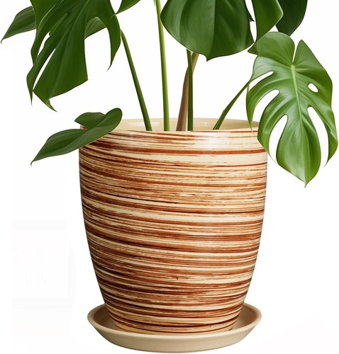 Inch plant pot - 8,