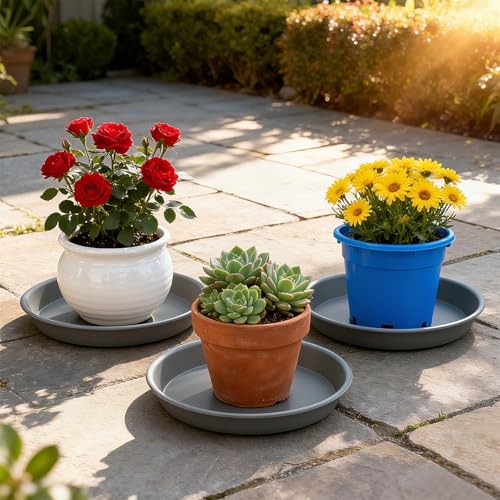 Plant saucer heavy large - plant,