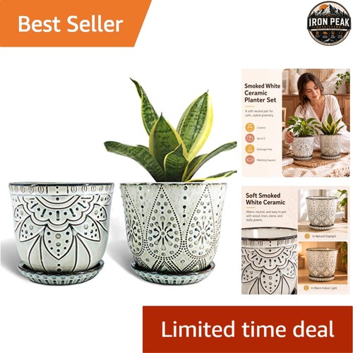 Ceramic plant pots 6in - ceramic,