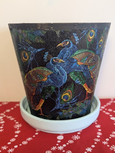 Large plant pot - plant, pot,pot
