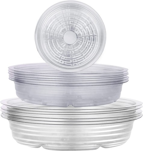 20pack 10in 12in - 20pack, saucer
