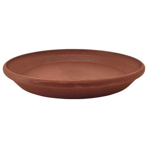 Inch plant saucer - 10,