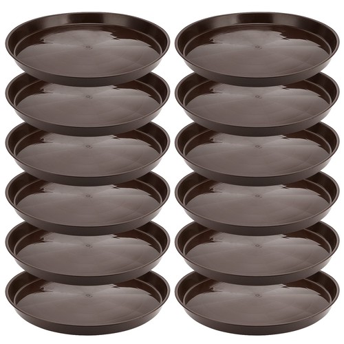 Pack inch plastic plant - plastic,
