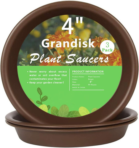 Plant saucer inch - plant,
