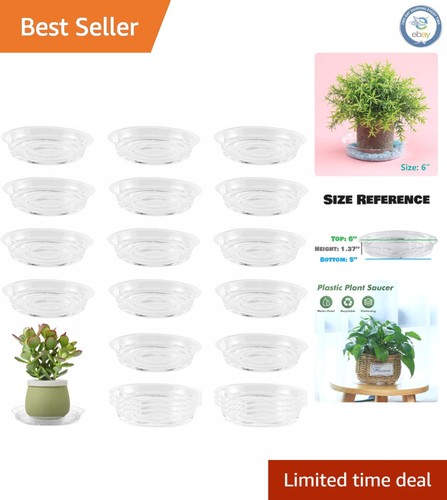 Lightweight inch plant - 6,
