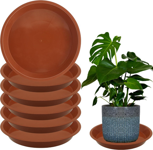 Pack inch round plant - 8,