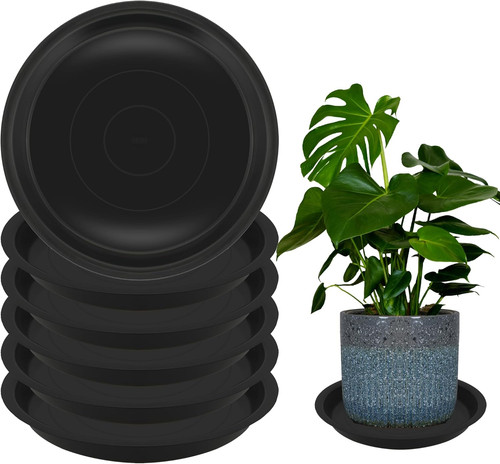 Pack inch round plant - 6,