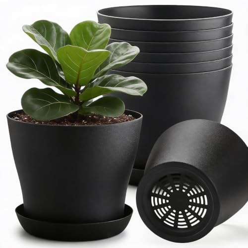 8inch plant pot - 8inch,