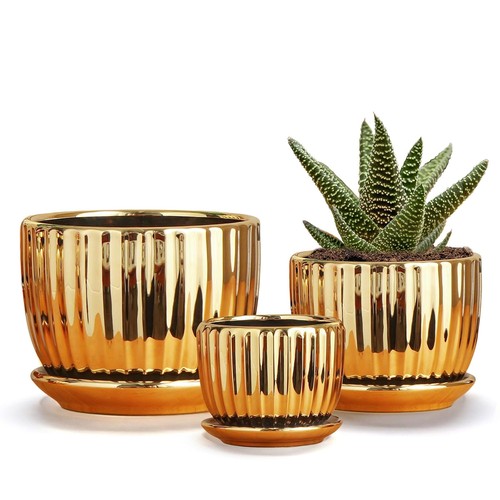 Plant pots ceramic - plant, flower