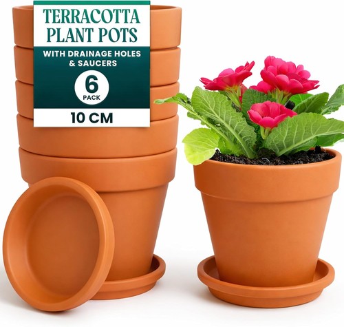Pack terracotta plant - 6,