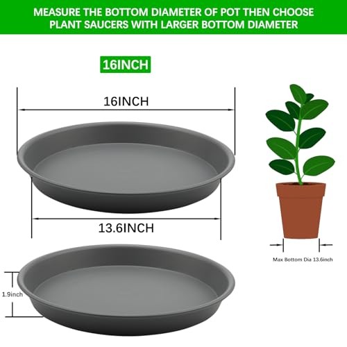 Tite plant saucer - saucer, large