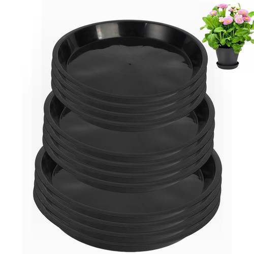 Pack plastic plant - 12,