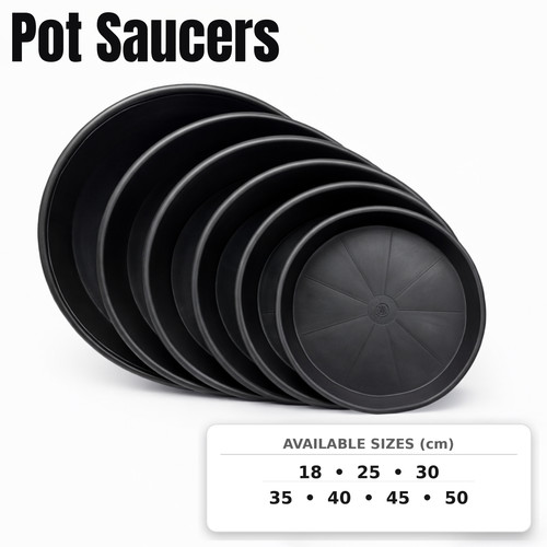 Black plant pot - plant,