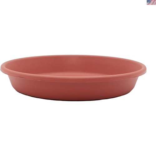 Timeless clay plant - timeless, tray