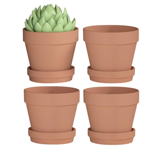 Fcacti inch clay pot - 6.3,