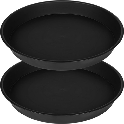 Pack 19 inch plant - 2,
