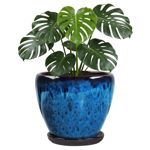 Ceramic plant pots - pots, with