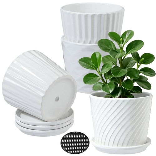Ceramic plant pots - ceramic, with