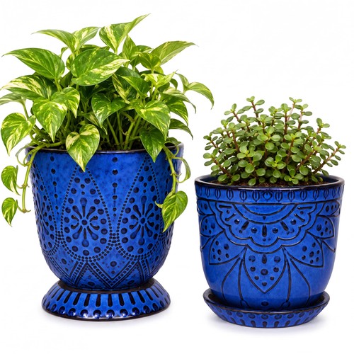 Ceramic plant pots inch - pots,, 6
