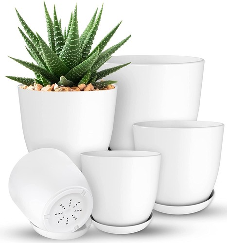 Plant pots indoor with - indoor,
