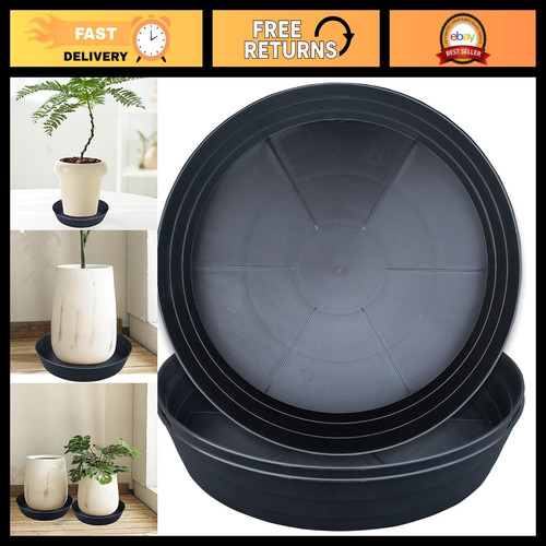 Extra large black plant - 20",