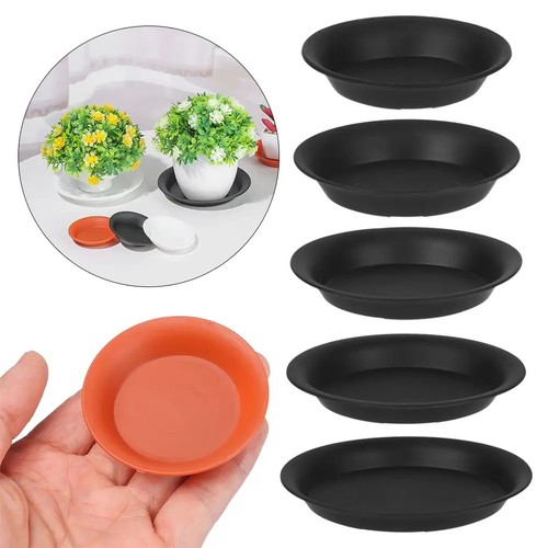12x round plant - 12x,