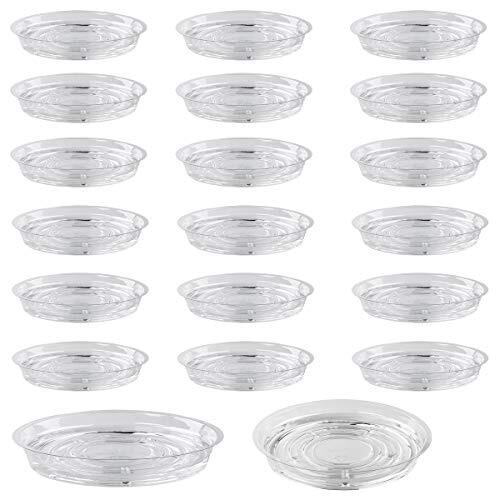 Pack clear plastic - pack,