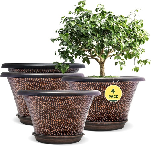 Inch pots plants pack - 12, plants,4