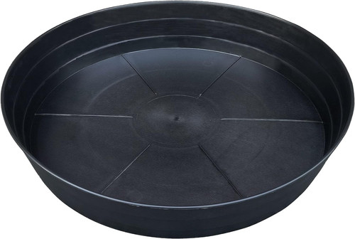 Inch extra large plant - 25,