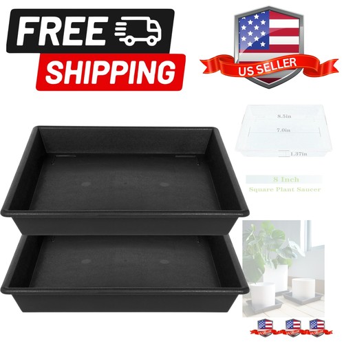 Square plant saucer - plant, 8