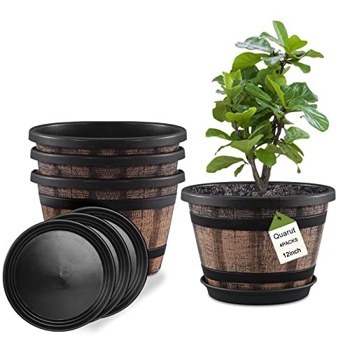 Pack plant pots large - plant,