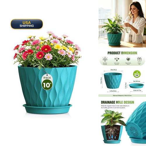 Areutxbis inch ripple plant - areutxbis,