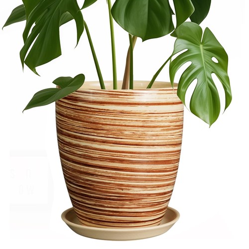 Inch plant pot ceramic - inch, pot,