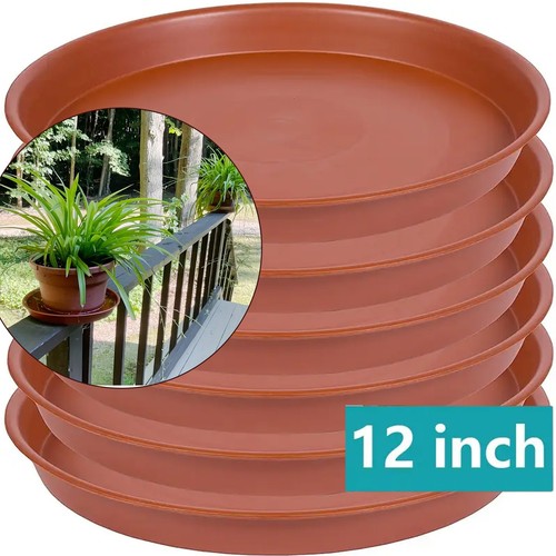 6pcs inch plant - 6pcs, 12