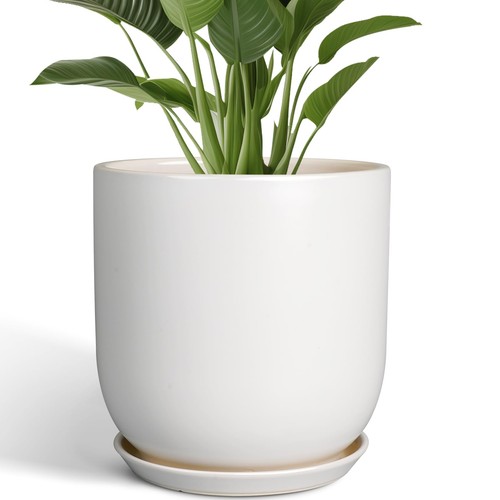 Ceramic plant pot with - pot,