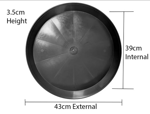 43cm black plant - plant, saucer