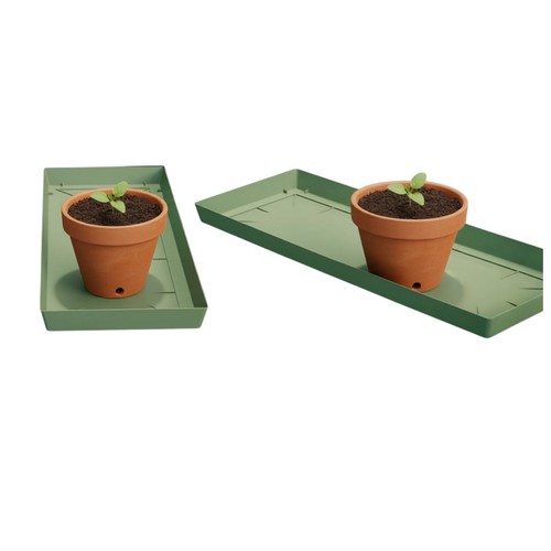 Plant pot saucer plastic - plant,